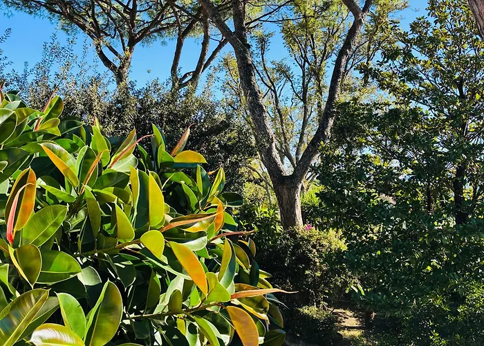 Charming Posillipo Sea View Ibiscus House