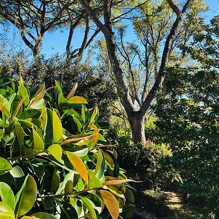 Charming Posillipo Sea View Ibiscus House